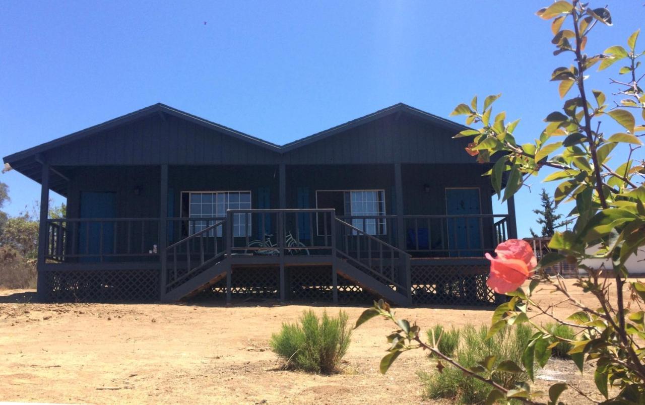 Bajo El Sol Del Valle Valle de Guadalupe Exteriör bild