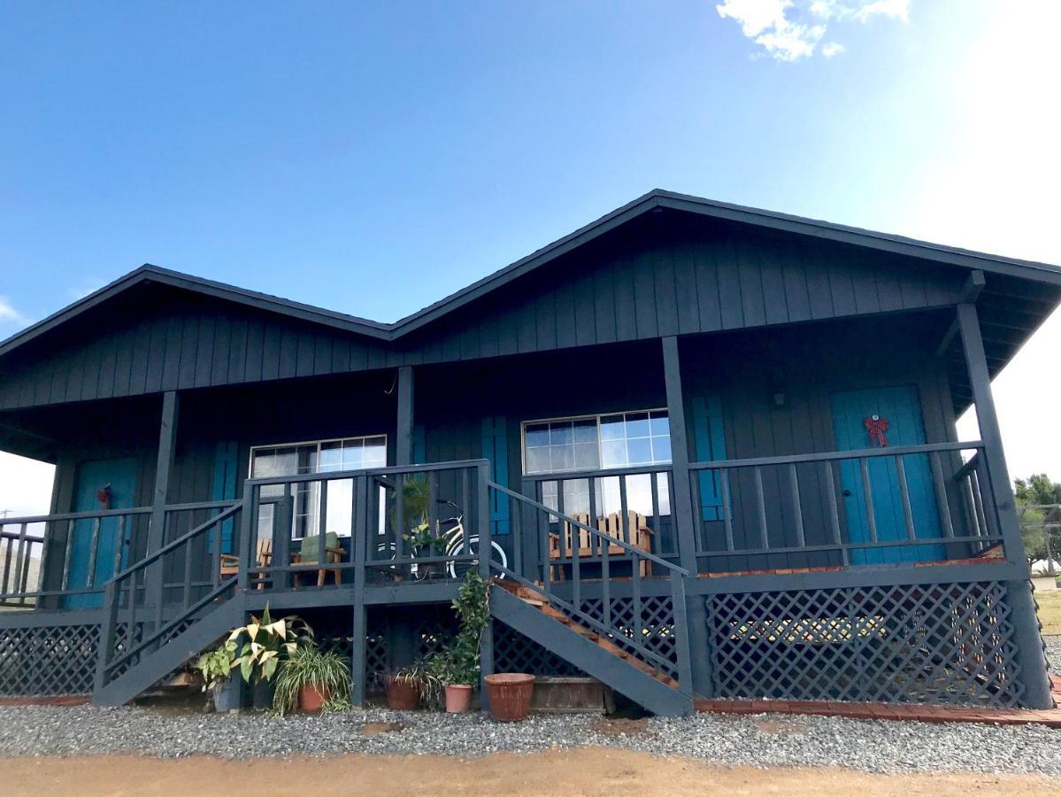 Bajo El Sol Del Valle Valle de Guadalupe Exteriör bild