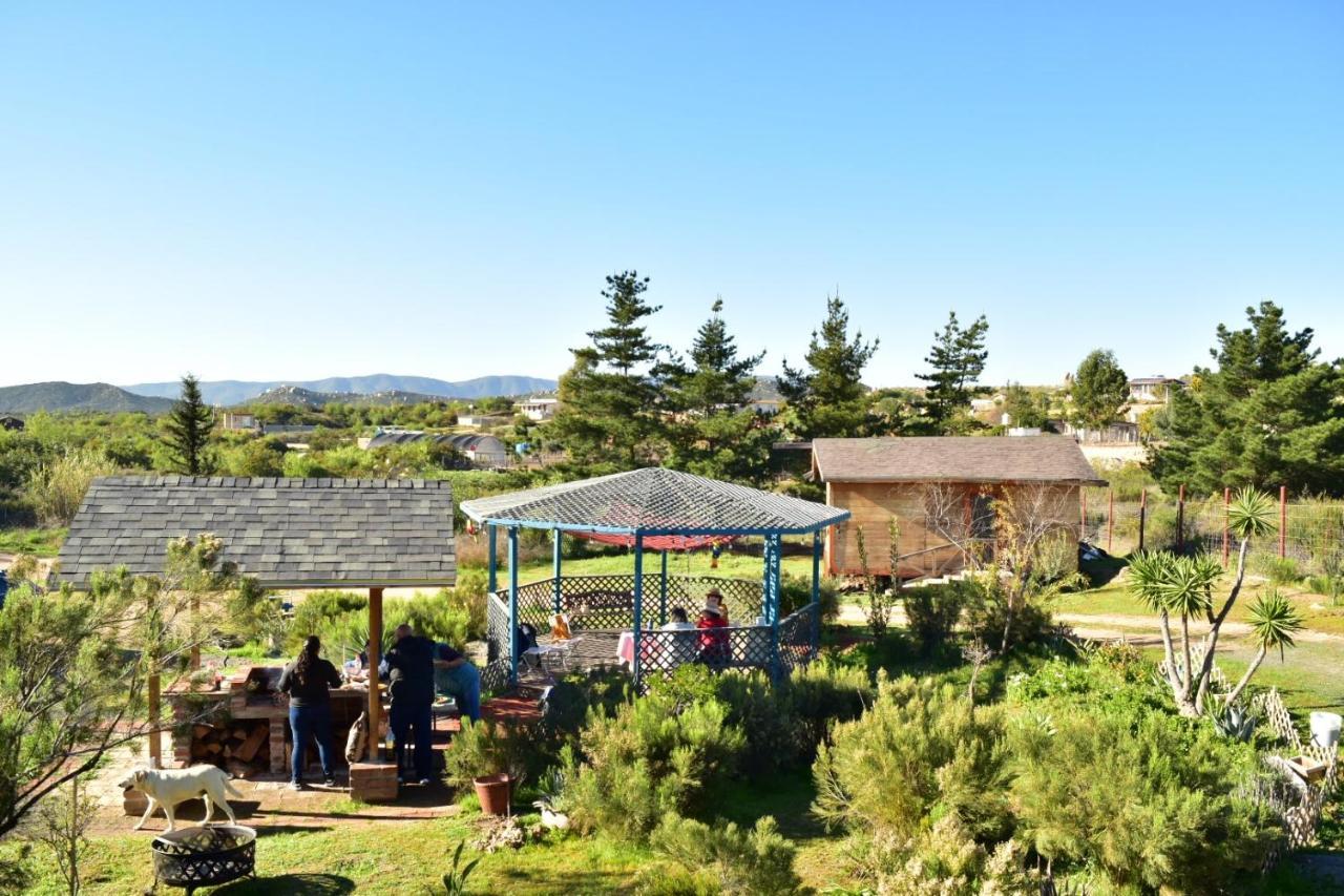 Bajo El Sol Del Valle Valle de Guadalupe Exteriör bild