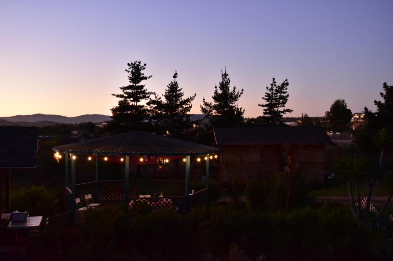 Bajo El Sol Del Valle Valle de Guadalupe Exteriör bild